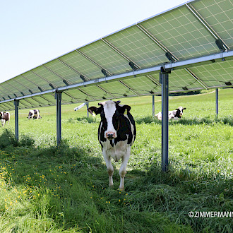 Agri-Photovoltaik - Doppelte Nutzung Ihrer Flächen